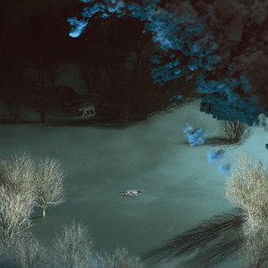 Zdjęcia dla 'Death of the Wolf'
