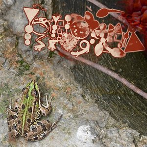 Image for 'The Cunt's In The Drain, Officer'