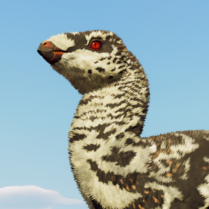 sillysula