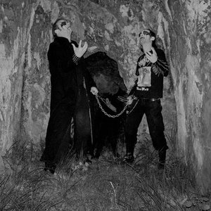Image for 'Sarvari'