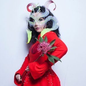 Image pour 'Björk'