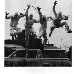 Image for 'The Mummies'