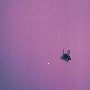 Image for 'flyonthewall'