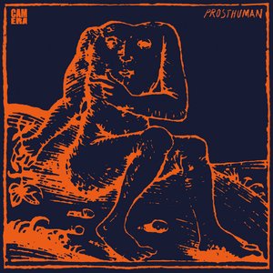 Image for 'Prosthuman'