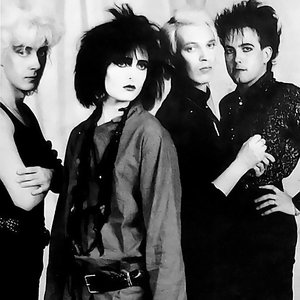 Image for 'Siouxsie and the Banshees'