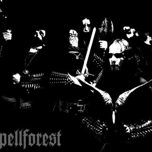 Image pour 'Spell Forest'