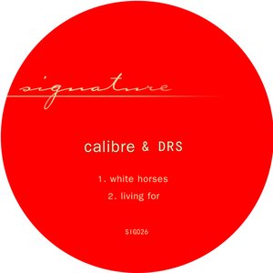 Immagine per 'White Horses / Living For'