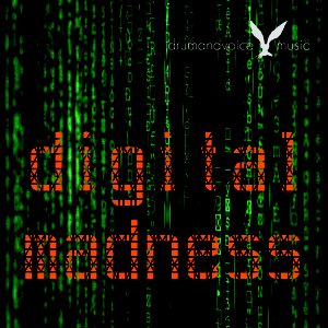 Bild für 'Digital Madness - Single'