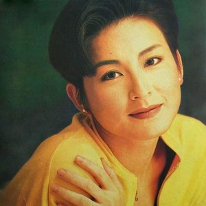 “陈淑桦”的封面