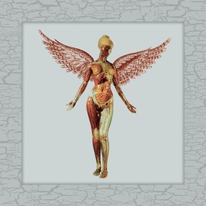 Image for 'In Utero (30th Anniversary Super Deluxe)'