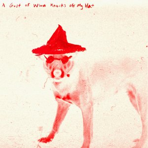 Image pour 'A Gust Of Wind Knocks Off My Hat'