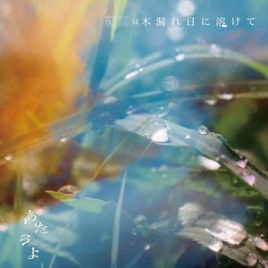 Image for '朝露は木漏れ日に溶けて'