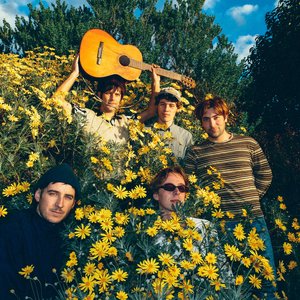 Image for 'Bananagun (Aus)'