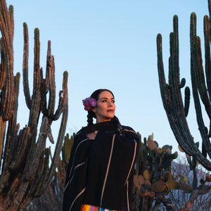 Image for 'Lila Downs'