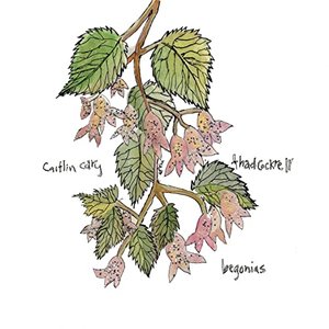 Image for 'Begonias'