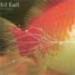 Bild für 'Goldfish'
