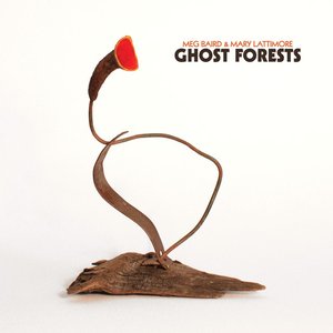 Изображение для 'Ghost Forests'