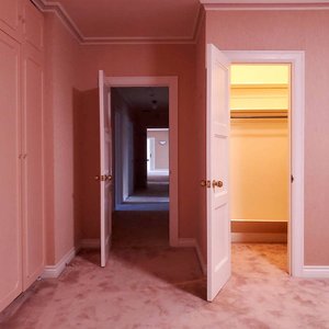 Image for 'Visitor'