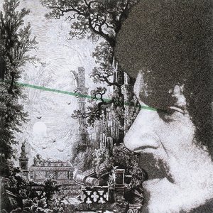 Immagine per 'Força verde'
