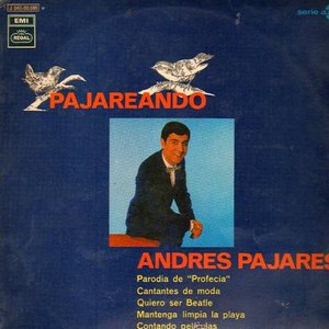 Image for 'Pajareando'