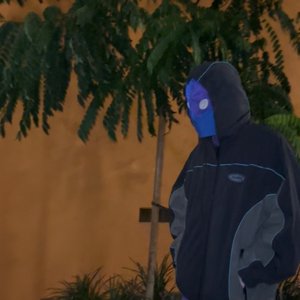 Image for 'Blu Velvet'