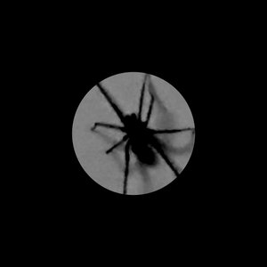 Image for 'TRISICLOPLOX'