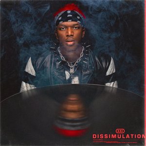 Image for 'Dissimulation'