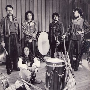Image for 'Chimizapagua'