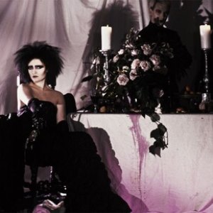 “Siouxsie and the Banshees”的封面