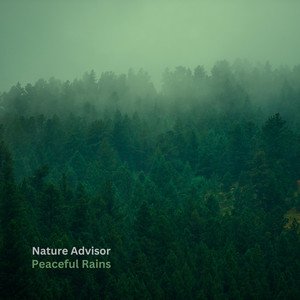Image for 'Slumber Night Rains'