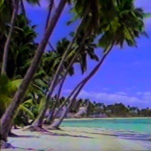Image for 'fiji vibes'