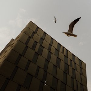 Image for 'Falling Slow - Single'
