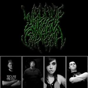 Image for 'wecamewithbrokenteeth'