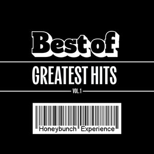 Image for 'Best of Greatest Hits, Vol. 1'