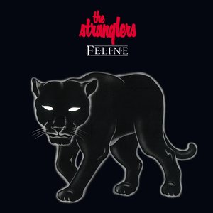 Immagine per 'Feline'