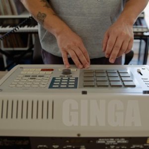 Изображение для 'Ginga'