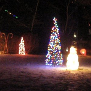 Image for 'Favorite Winter'