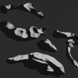 Image for 'FOLLY'