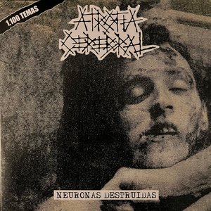 Image for 'Neuronas Destruidas'