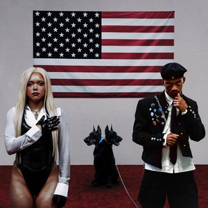 Image for 'AMERIKA’S NEXT TOP PARTY!'