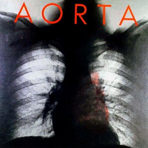 'Aorta'の画像