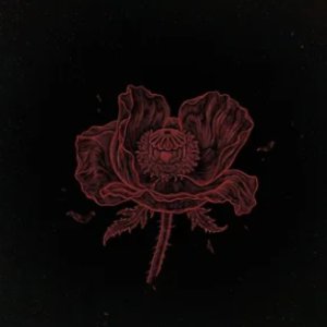 Image for 'It's All Red'