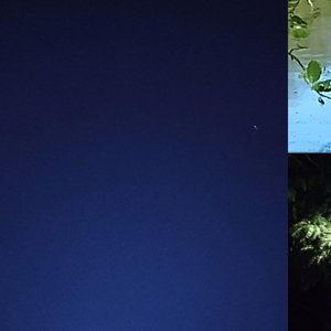 Immagine per 'warm nights - slowed + reverb & sped up version'