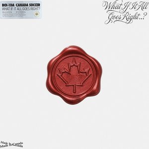 Image for 'WHAT IF IT ALL GOES RIGHT?'