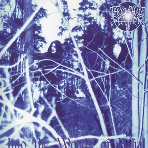 'Into the Woods of Belial'の画像