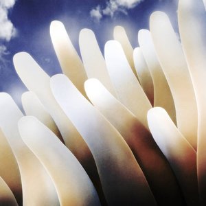 'Dreamliner'の画像