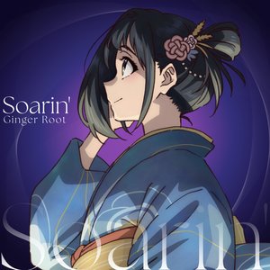 Image for 'Soarin''