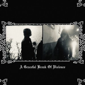 Image for 'A Graceful Break Of Violence'