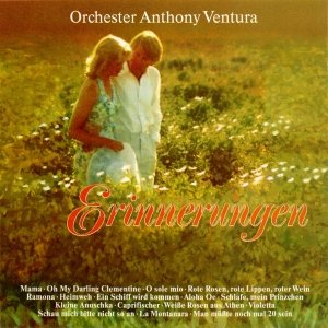 Imagen de 'Erinnerungen'