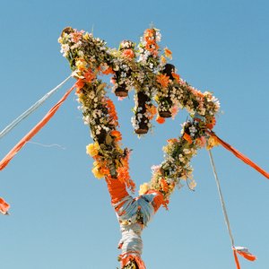 Image for 'Flowers'